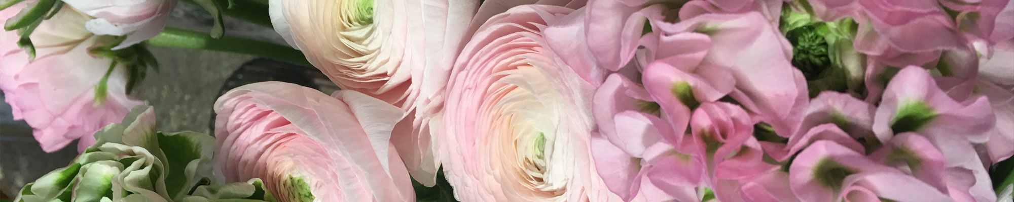 Flowers at Whitchurch florist shop